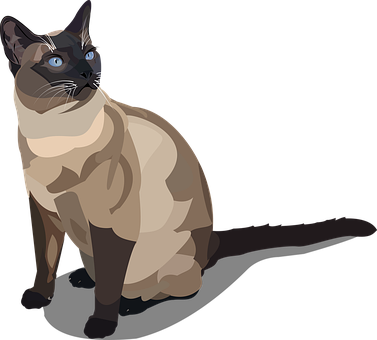 Siamese Cat Illustration