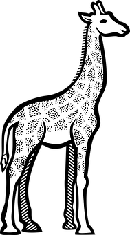 Silhouette Giraffe Graphic PNG with transparent background