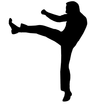 Silhouette Kick Pose