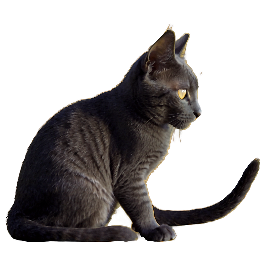 Silhouette Of Grey Cat Png 22