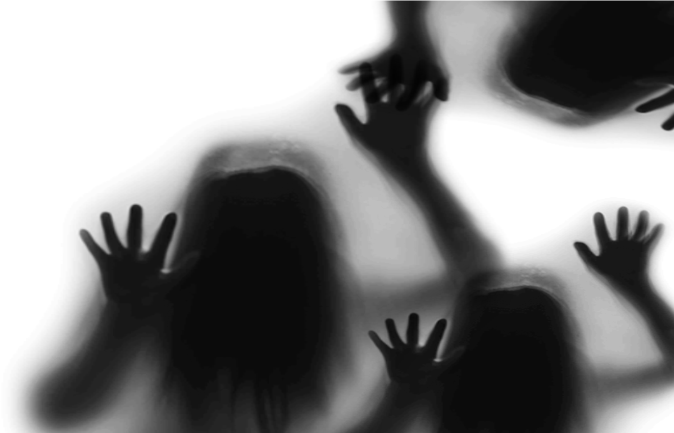 See Pricing - Monochrome - Monochrome, HD Png Download PNG with transparent background