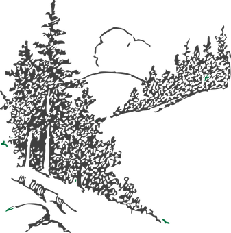 Silhouette Optical Illusion Forest PNG with transparent background