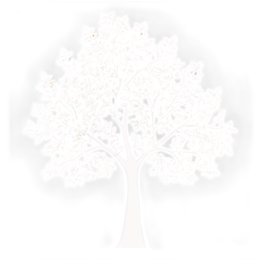 Silhouette Tree Outline Png Box5