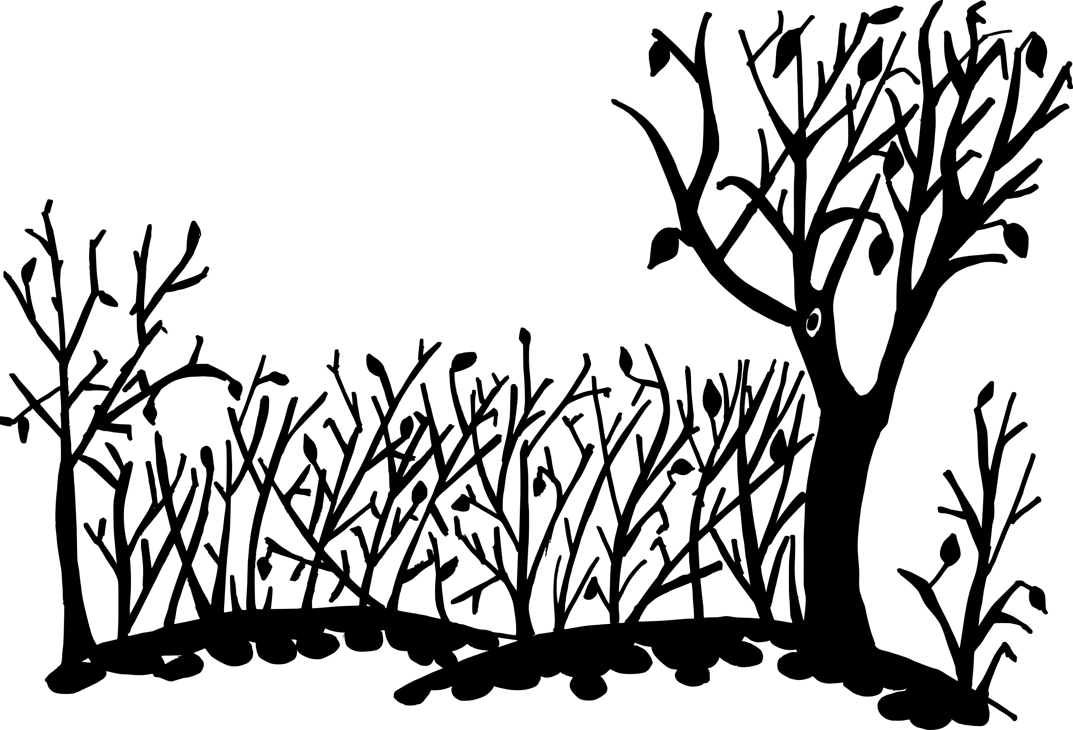 Silhouetted Bare Treesand Shrubs PNG with transparent background