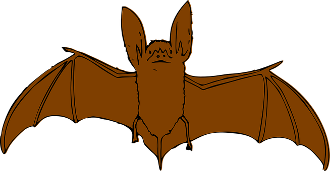 Silhouetted Bat Flying Against Dark Background