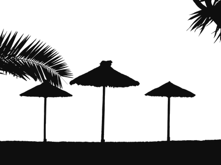 Silhouetted Beach Umbrellasat Night PNG with transparent background