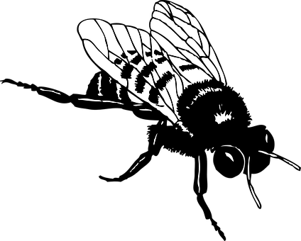 Silhouetted Bee Graphic PNG with transparent background