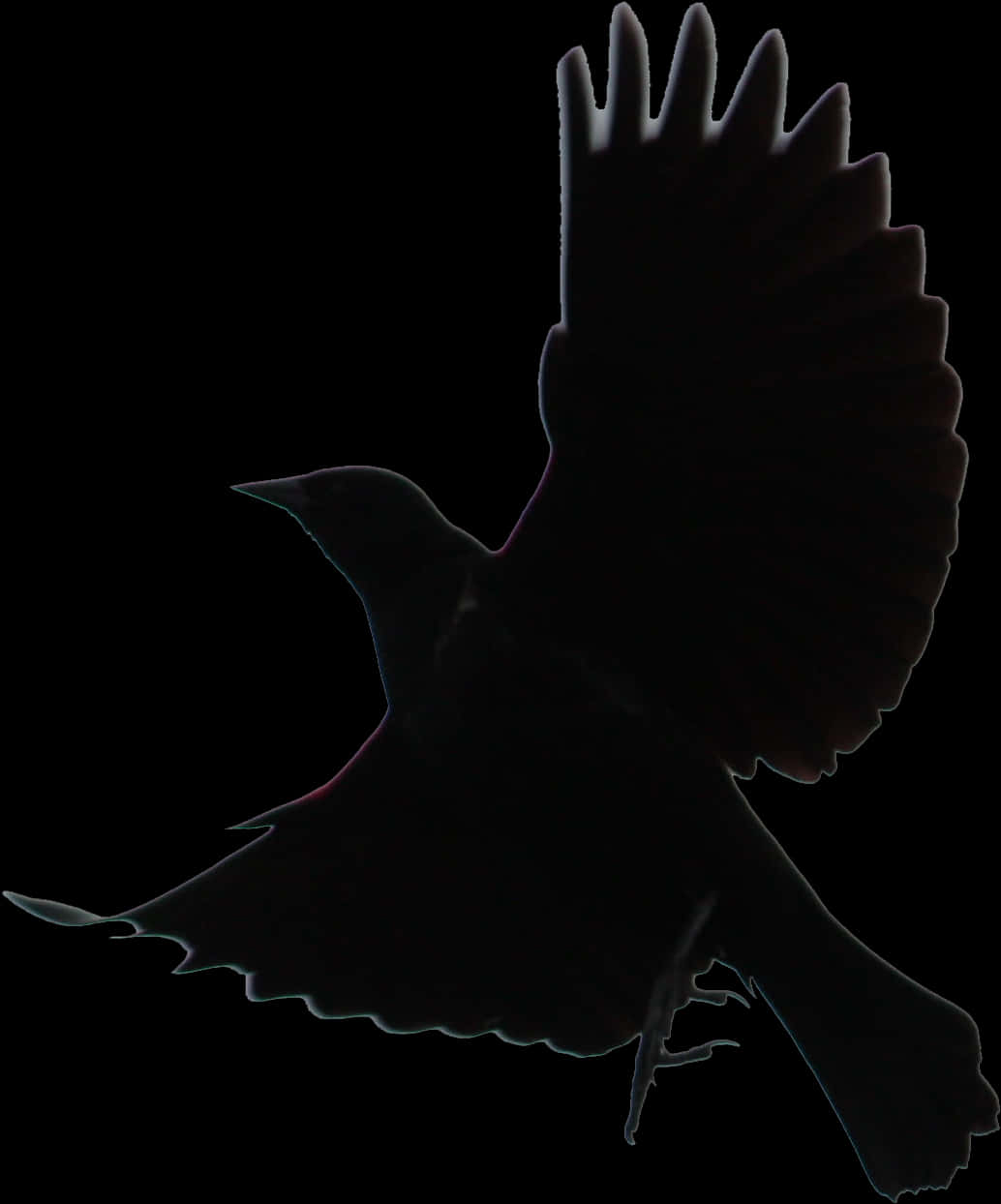 Silhouetted Birdin Flight PNG with transparent background