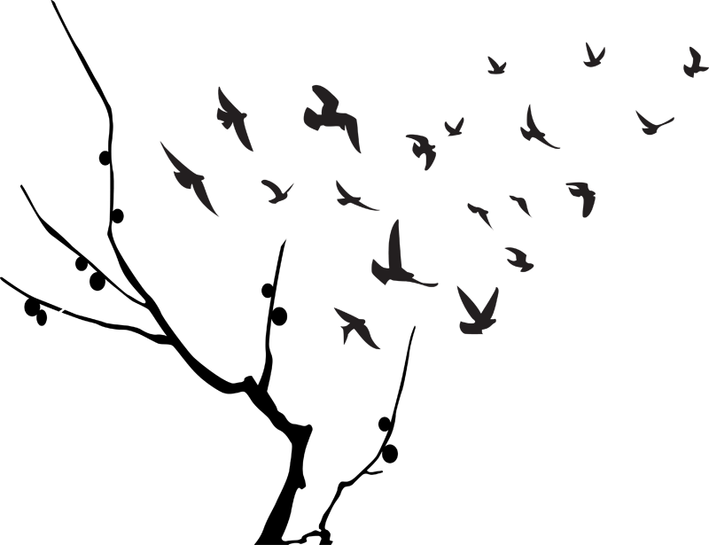 Silhouetted Birds Flying From Tree Branch