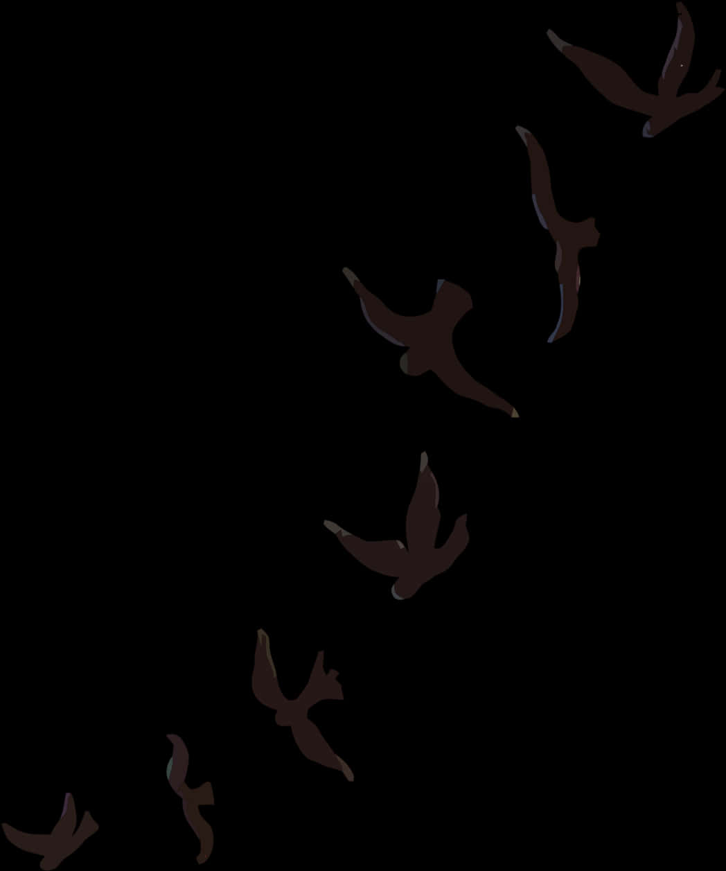 Silhouetted Birdsin Flight