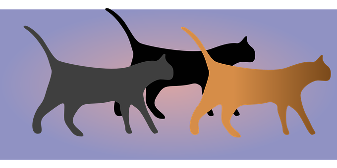 Silhouetted Cats Walking Together PNG image with a transparent background, free high-resolution download