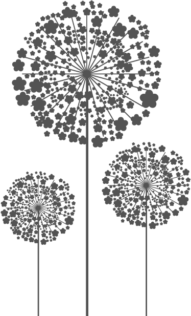 #freetoedit 3 Dandelions #png #dandelions #transparentbackground - Template Dandelion, Png Download PNG image with a transparent background, free high-resolution download