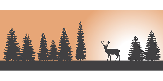 Silhouetted Deerin Forestat Dusk PNG with transparent background