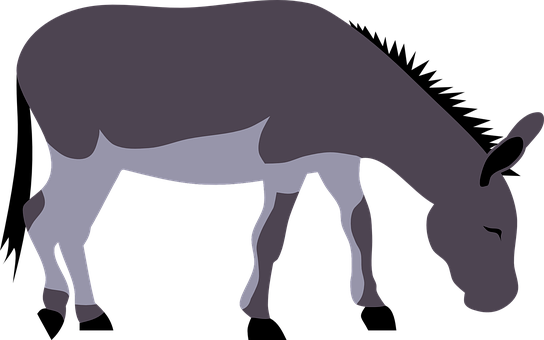 Silhouetted Donkey Grazing