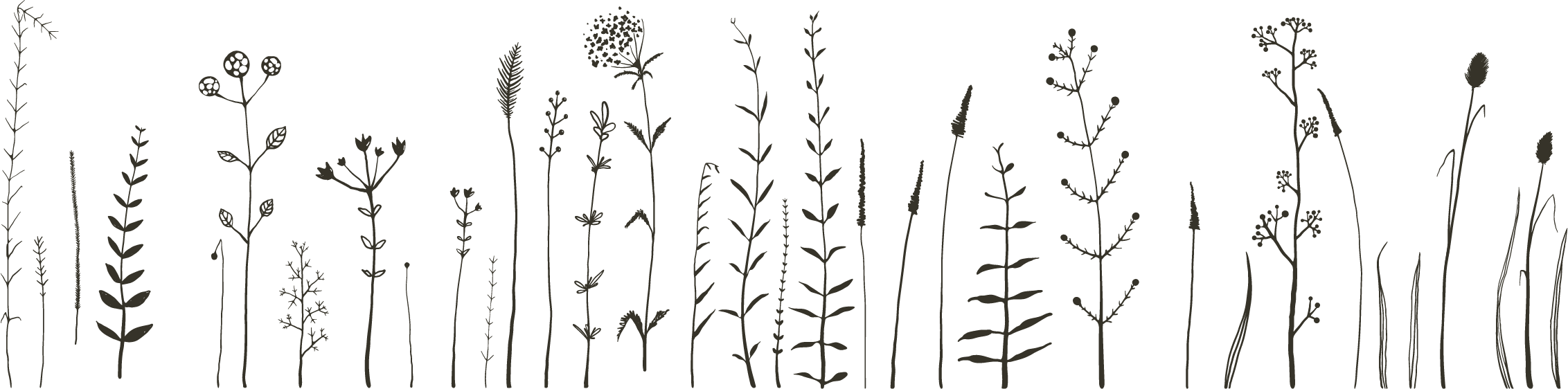 Flower Doodle Designs Bullet Journal - Bullet Journal Flower Doodles, HD Png Download PNG with transparent background