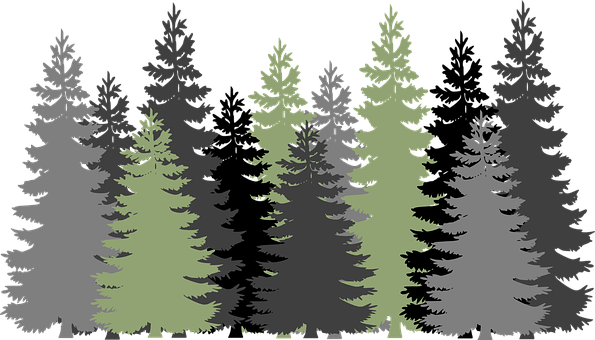 Silhouetted Forest Vector Illustration PNG with transparent background