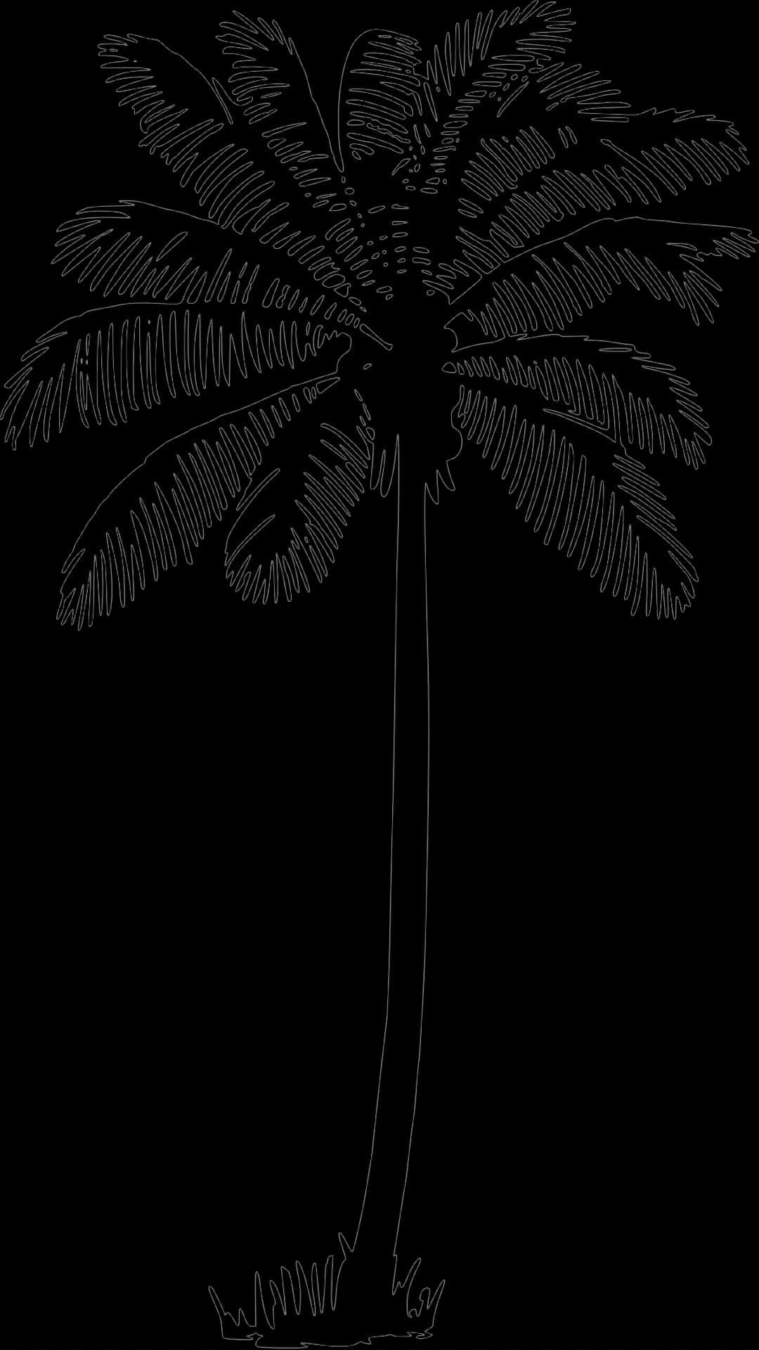 Palm Tree Vector Png, Transparent Png PNG with transparent background