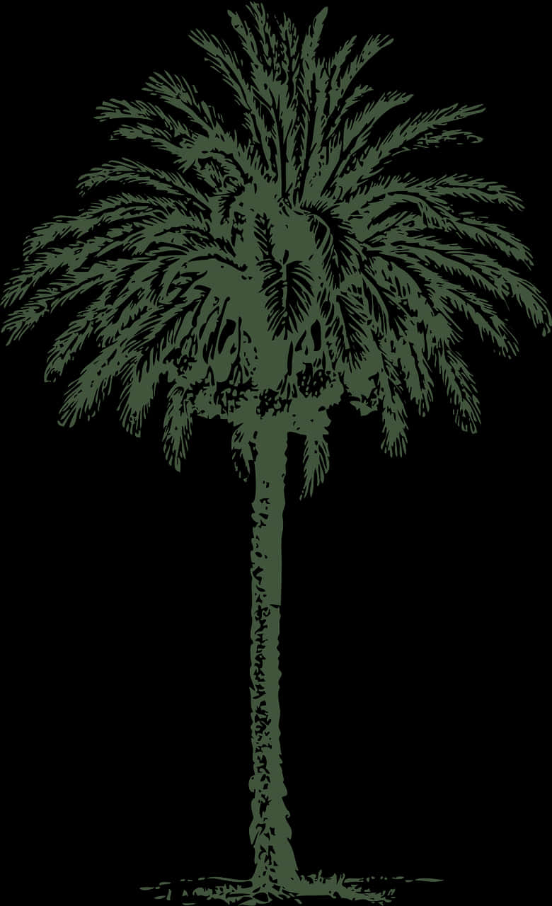 نخلة Png, Transparent Png PNG with transparent background
