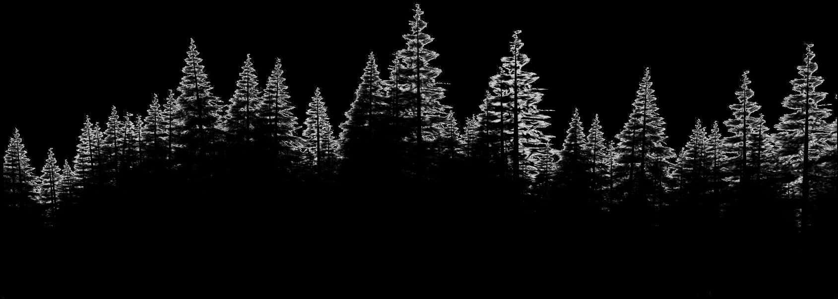 Transparent Forest Clipart Backgrounds - Pine Forest Png, Png Download PNG with transparent background