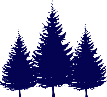 Silhouetted Pine Trees Graphic PNG with transparent background
