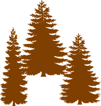 Silhouetted Pine Trees Graphic PNG with transparent background