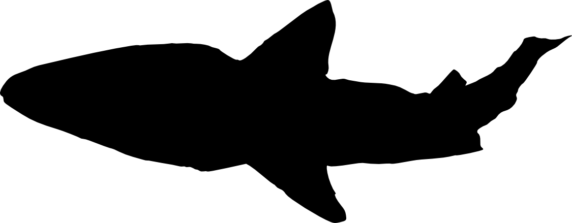 Free Download - Shark Silhouette Jpg PNG with transparent background