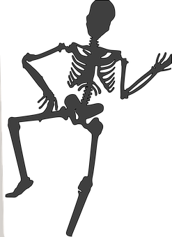 Silhouetted Skeleton Pose PNG with transparent background