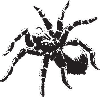 Silhouetted Spider Graphic PNG with transparent background