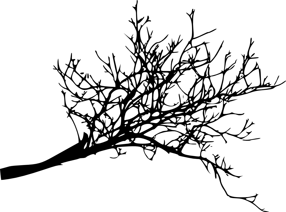 Silhouetted Tree Branch PNG with transparent background