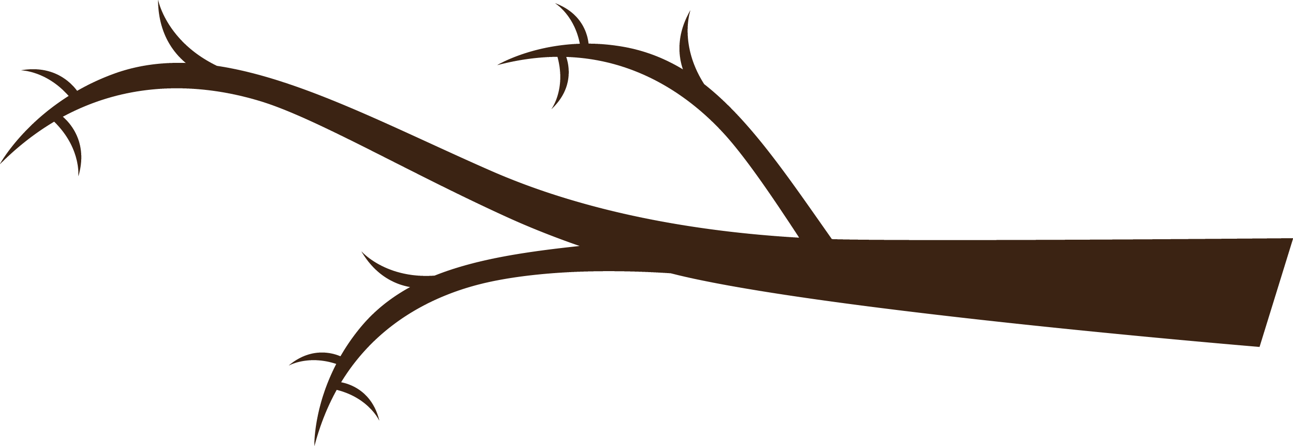 Silhouetted Tree Branchwith Thorns PNG with transparent background