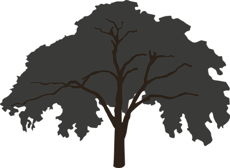 Silhouetted Tree Graphic