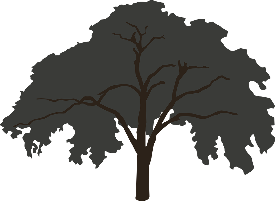 Silhouetted Tree Graphic