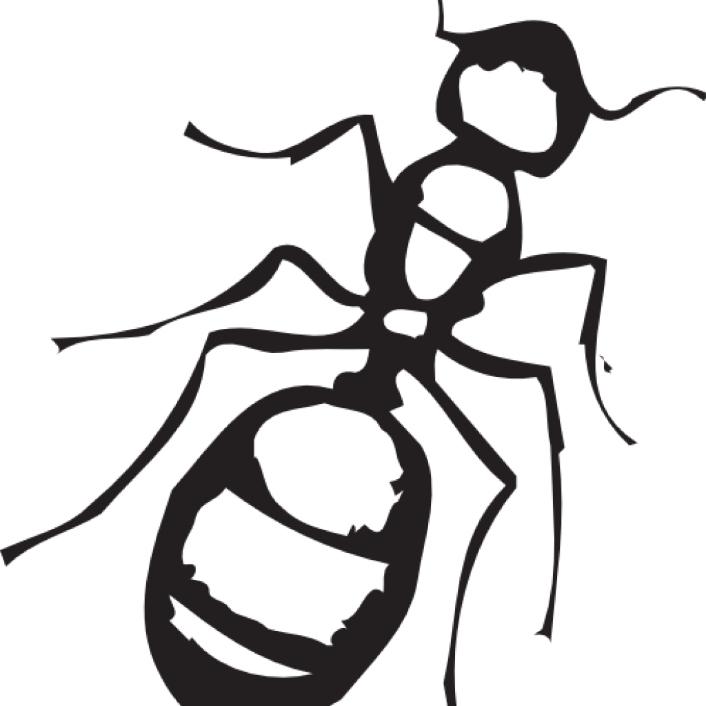 Ant Clipart Black And White Sketch Of An Ant Clip Art - Transparent Png Ant Png White, Png Download PNG with transparent background