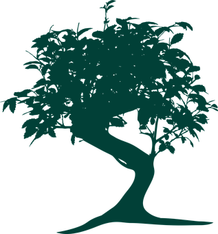 Silhouetteof Bonsai Tree 317x340 PNG image with a transparent background, free high-resolution download