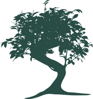 Silhouetteof Bonsai Tree 317x340 PNG image with a transparent background, free high-resolution download