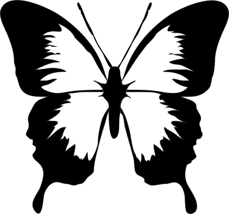 Silhouetteof Butterfly