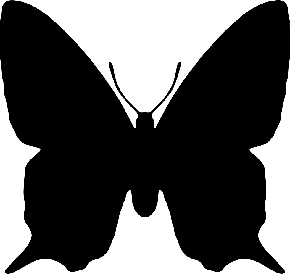 Silhouetteof Butterfly Wings