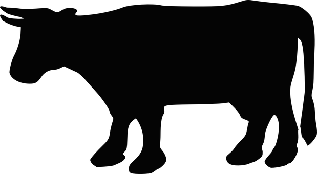 Silhouetteof Cow