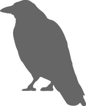 Silhouetteof Crow Standing PNG with transparent background