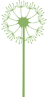 Silhouetteof Dandelion Seed Head PNG image with a transparent background, free high-resolution download