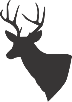 Silhouetteof Deer PNG with transparent background