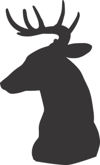 Silhouetteof Deer Profile PNG with transparent background