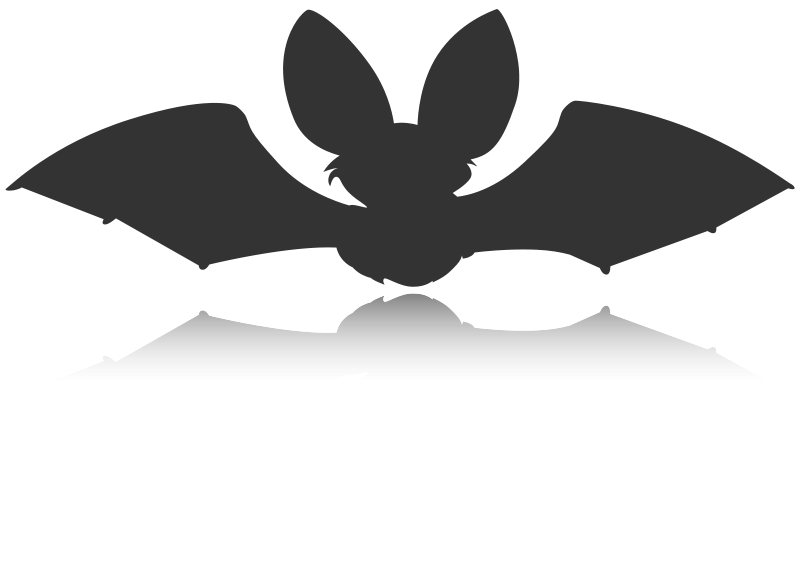 Silhouetteof Flying Bat