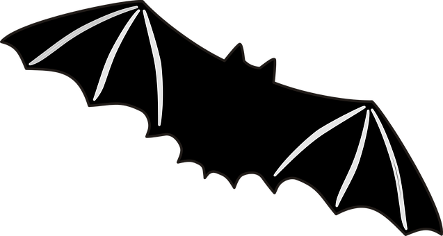 Silhouetteof Flying Bat