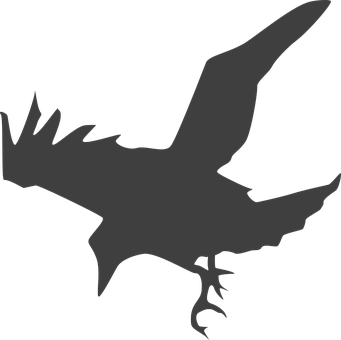 Silhouetteof Flying Crow PNG with transparent background
