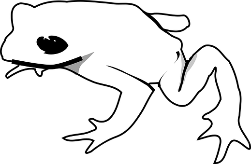 Silhouetteof Frogon White Background.jpg