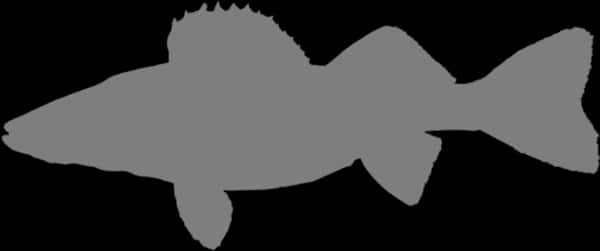 Silhouetteof Generic Fish