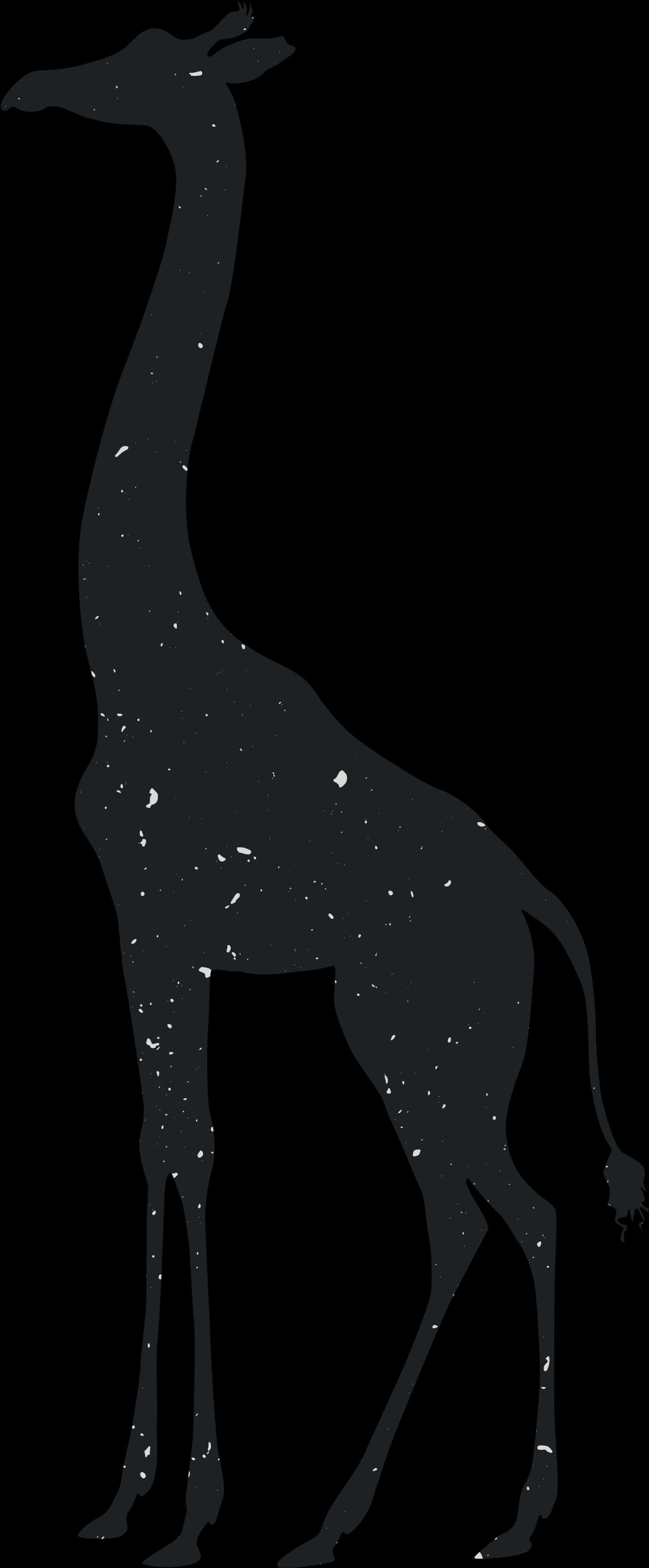 Silhouetteof Giraffe Standing