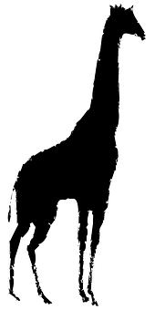 Silhouetteof Giraffe Standing PNG with transparent background