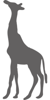 Silhouetteof Giraffe Standing